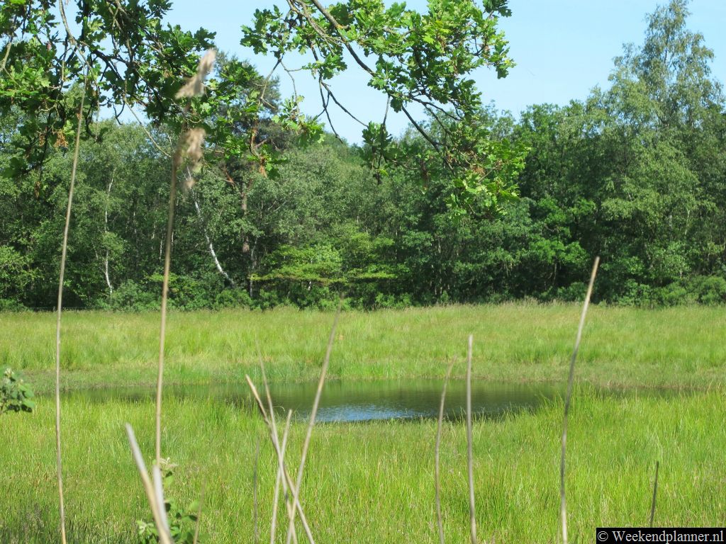 Er liggen ongeveer tachtig vennen rond Oisterwijk. Een goed startpunt voor een wandeling langs de vennen is het boscafé van Piet Plezier. Hier kun je gratis parkeren. Bij Piet Plezier kunnen klanten een wandel- en fietsroute krijgen.